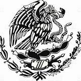 Mexican Eagle Drawing Flag Paintingvalley Symbol sketch template