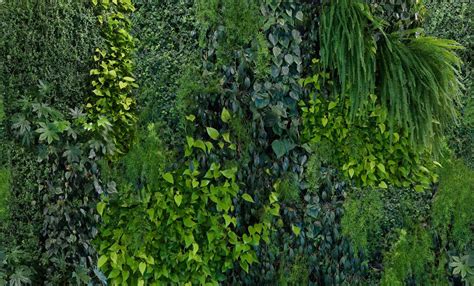 green wall wallpapers top  green wall backgrounds wallpaperaccess