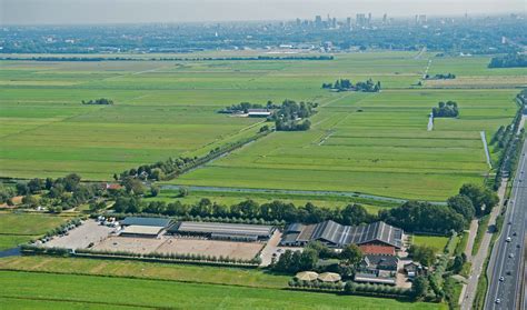 gouden jubileum manege de prinsenstad al het nieuws uit delft