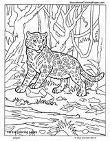 Coloring Jaguar Pages Animal Kids Mammals Animals Printable Big Book Zoo Jungle Kelp Print Forest Cats Crafts Color Four Preschool sketch template
