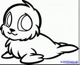 Seal Cute Coloring Drawing Pages Seals Drawings Getdrawings sketch template