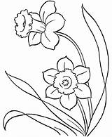 Spring Drawing Flowers Clipart Line Simple Coloring Pages Library Adults sketch template