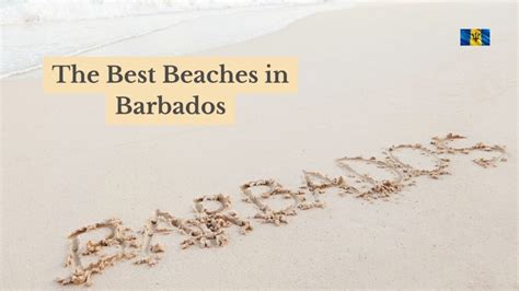 the 11 best beaches in barbados in 2023 for relaxing sunbathing and
