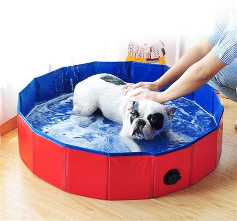 opvouwbaar hondenzwembad honden en kinderen hondenbad opvouwbaar opzetzwembad bolcom