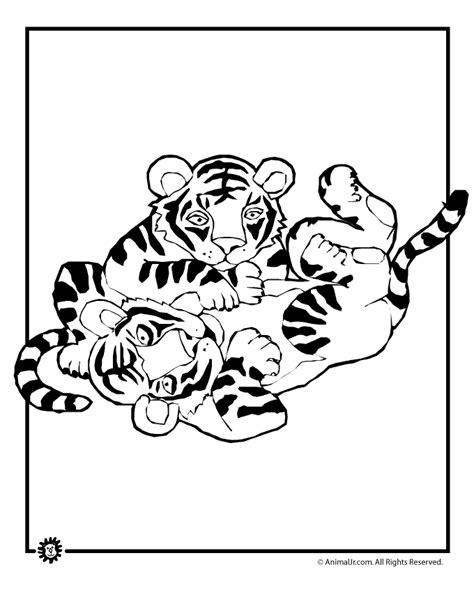 tiger cubs playing coloring page woo jr kids activities