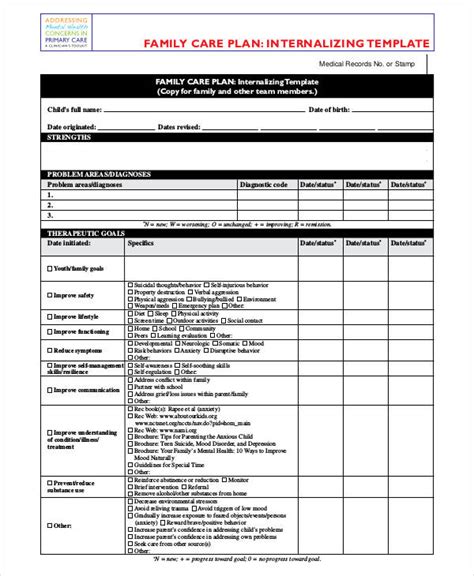 care plan template  word  format