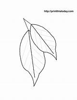 Coloring Leaves Leaf Pages Palm Printable Autumn Print Maple Branch Fall Kids Sheet Flower Color Sheets Library Clipart Line Comments sketch template