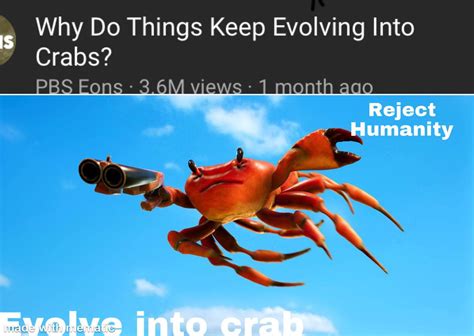 evolve  crab reveryoneiscrab