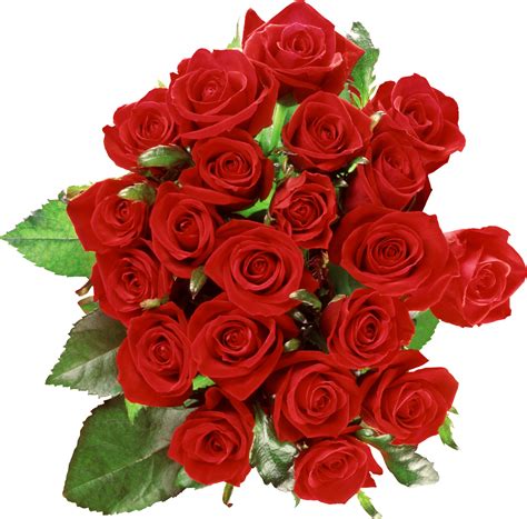 bouquet  roses png image  picture