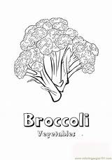 Coloring Broccoli Pages Printable Coloringpages101 sketch template