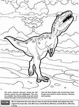 Allosaurus Jurassic Dover Doverpublications Dinosaurs Jungle Dinosauri Insertion Codes sketch template