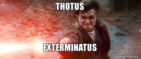 thotus exterminatus harry from thot patrol make a meme