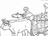 Boi Colorare Bue Oxen Ox Bambini Printable Monta Carroça Puxando Pulling sketch template