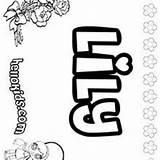 Lily Coloring Pages Hellokids Name Lilyanna Designlooter 83kb 220px sketch template