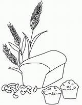 Wheat Grains Muffin Pasta Brot Vorlagen Coloringhome sketch template