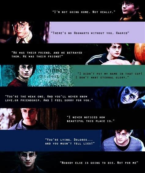 Harry Potter Funny Quotes About Quotesgram