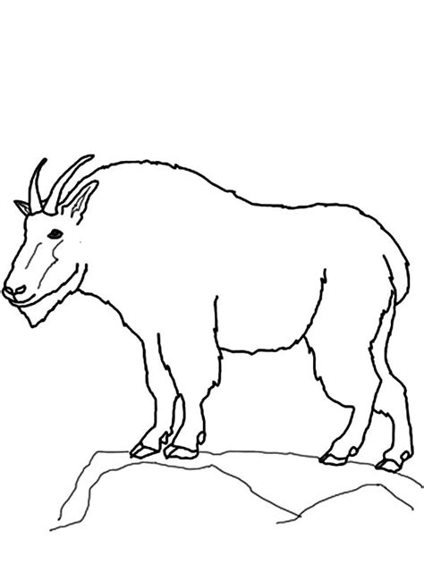drawing mountain goat coloring pages color luna
