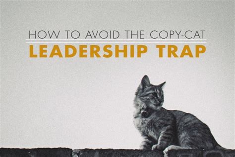 avoid  copy cat leadership trap leadership cats family advice