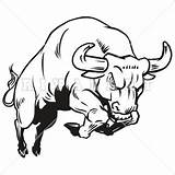 Bull Charging Drawing Clipart Line Fighting Logo Bulls Red Clip Clipartmag Easy Vector Template Sketch Coloring Pages Head Webstockreview Clker sketch template