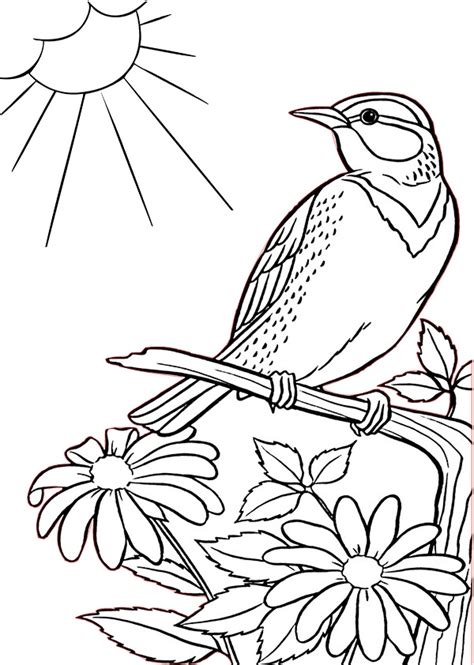 sparrow bird   tree  lovely flowers printable coloring pages