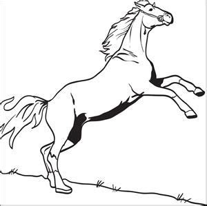 horse coloring page horse coloring pages horse coloring horse