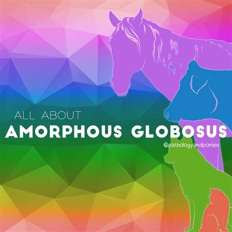 amorphous globosus pathology  ponies