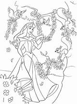 Coloring Pages Aurora Disney sketch template