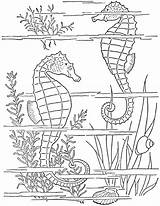 Coloring Pages Seahorses Adult 1950s Printable Color Getcolorings sketch template