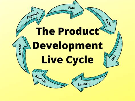 stages  development life cycle