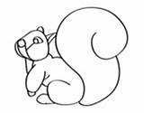 Coloring Squirrel Squirrels Tail Large Pages Coloringcrew sketch template