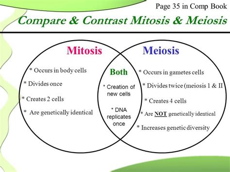 Image Result For Mitosis And Meiosis Mitosis Meiosis