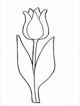 Coloring Pages Tulip Flowers Tulips Flower Printable Color Print Recommended sketch template