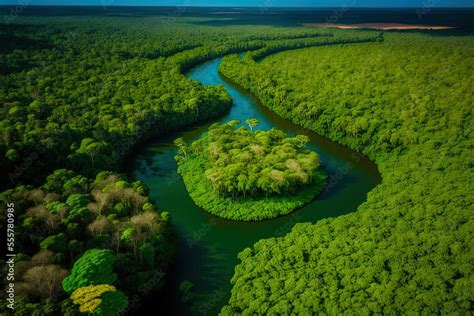 aerial view   amazon rainforest south american country  perus