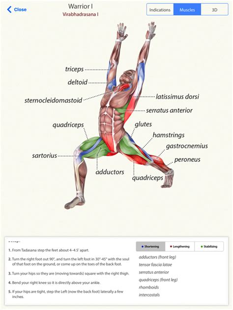 yoga anatomy app voor iphone ipad en ipod touch appwereld