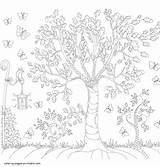 Pages Adult Coloring Colouring Butterflies Printable Trees Adults Butterfly Print Look Other sketch template