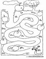 Coloring Pages Worm Maze Kindergarten Worms Activity Preschool Mazes Marble Printable Kids Game Earth Georgia Drawing Worksheets Math Christmas Games sketch template