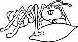 Ant Hormigas Hormiga Comiendo Fourmi Coloringbay Bestcoloringpagesforkids Anipedia sketch template