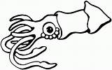 Squid Calamar Stingray Tintenfisch Sting Ausmalbilder Ausmalbild Menta Educación Clipground sketch template