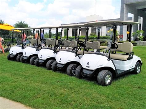 electric golf cart  india irrigation products international pvt