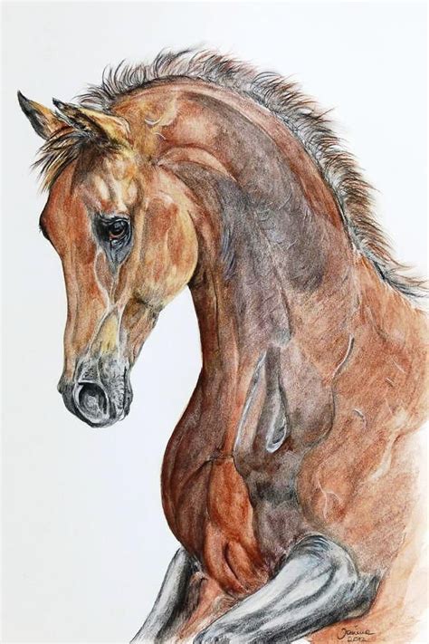 besten horses  colored pencil bilder auf pinterest buntstifte