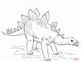 Stegosaurus Coloring Pages Dinosaur Drawing Draw Young Dinosaurs Supercoloring Kids Printable Tutorials Step Color sketch template