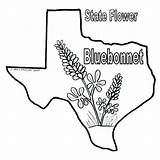 Texas Coloring Bluebonnet Pages Bluebonnets Flag Longhorn Color Sheets Print Printable Bob Book Drawings Longhorns State Drawing Blue Sheet Line sketch template