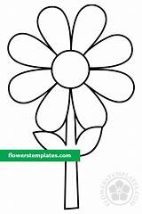Daisy Coloring Simple Pages Stem Flowers Pdf Print sketch template