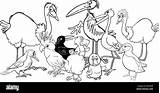 Marabou Stork sketch template