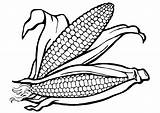 Corn Coloring Pages sketch template