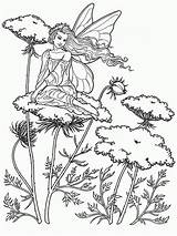 Patterns Pyrography Beginners Wood Burning Fairy Choose Board Beginner Stencils sketch template