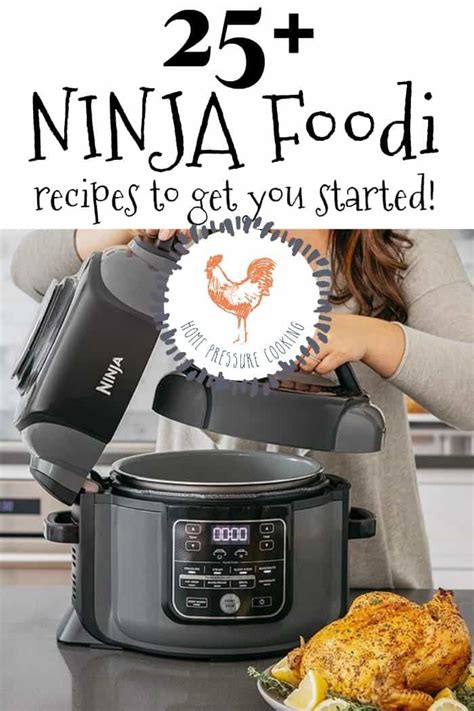 ninja foodi recipes    started ninja recipes ninja