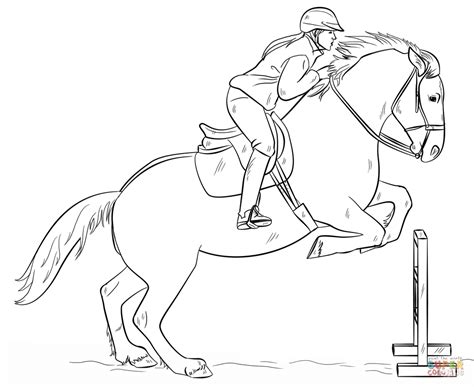 jumping horse  rider super coloring ride drawing horse art