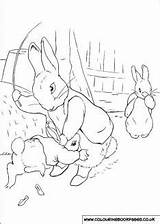 Rabbit Peter Coloring Beatrix Potter Frothingham Kids Pages Colouring Mother Blank Fun Jemima Duck Puddle Deviantart Bunny Tale Book sketch template