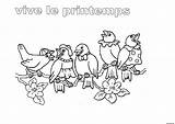 Coloriage Maternelle Oiseaux Oiseau Arbre Colorier Imprimé Inscrivez sketch template